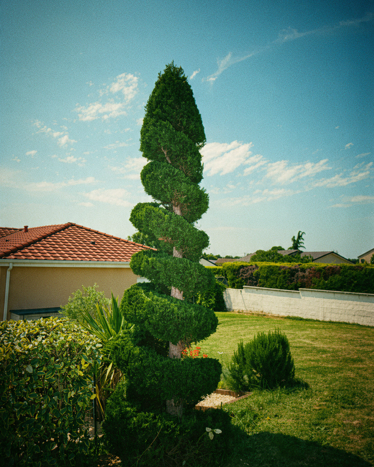  TD Paysage | Réalisation Vichy